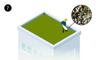 Augalinio stogo apželdinimas