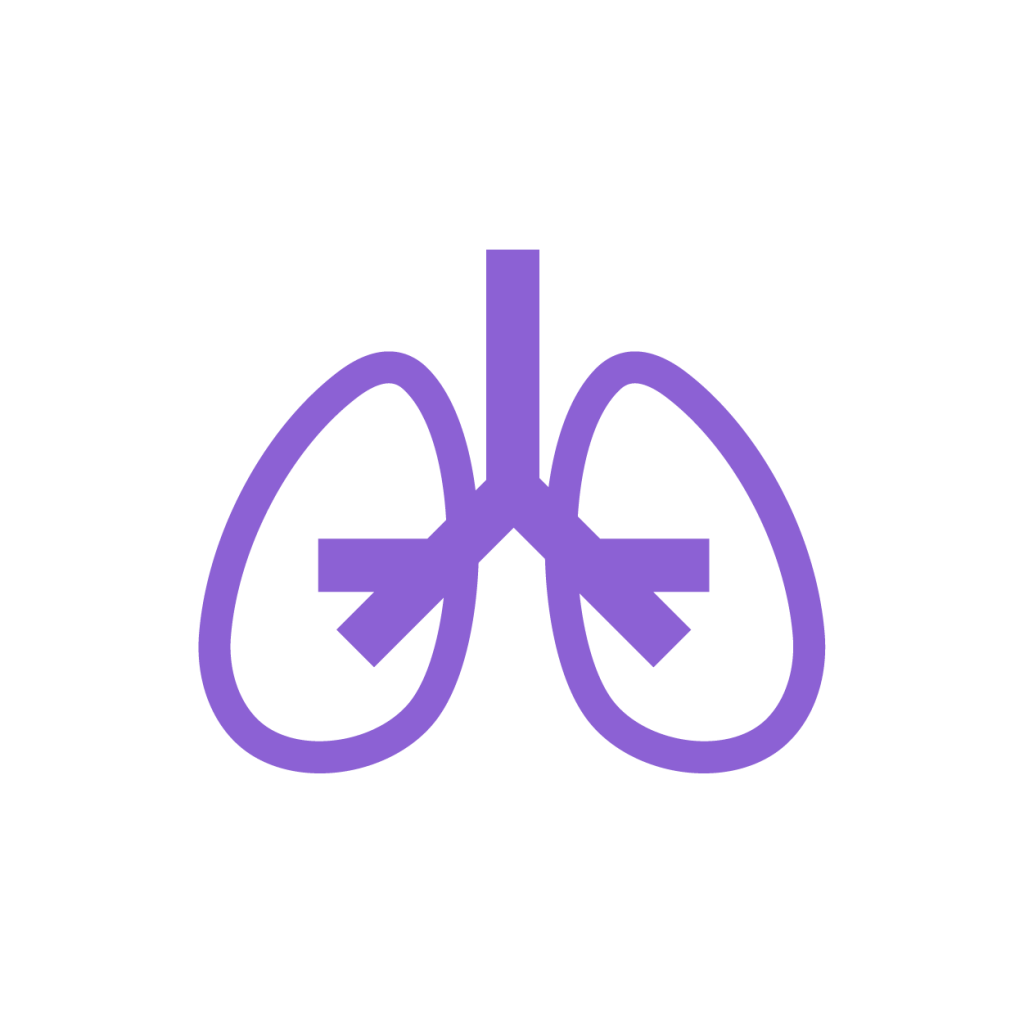 Žalieji stogai Išvalo orą