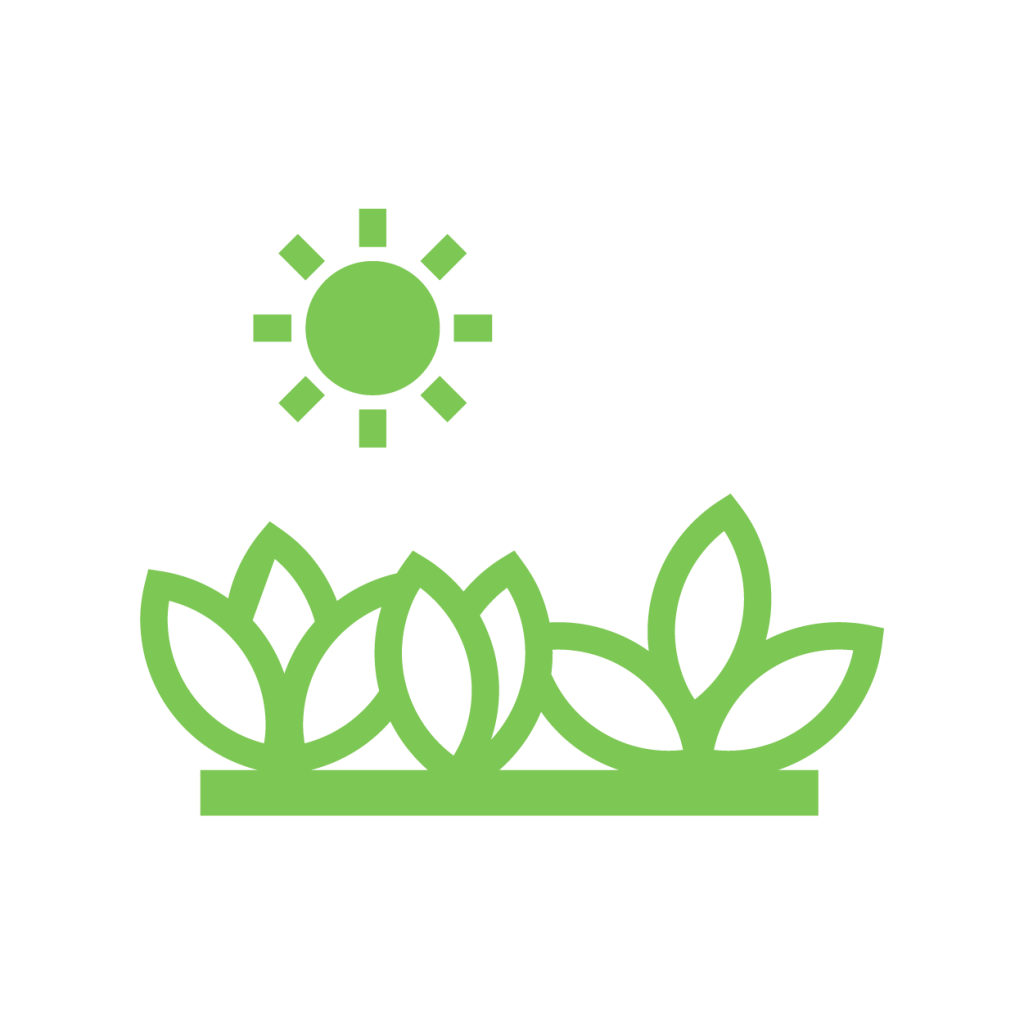 Apželdintas stogas - Tuojau pat žalia, reikalauja mažai priežiūros