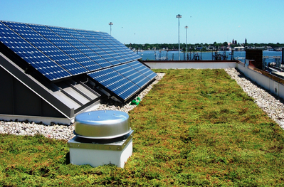 Plokščias žaliasis stogas