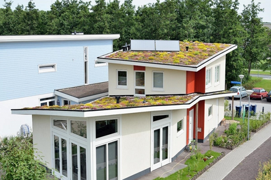 Šlaitinis šilokų stogas