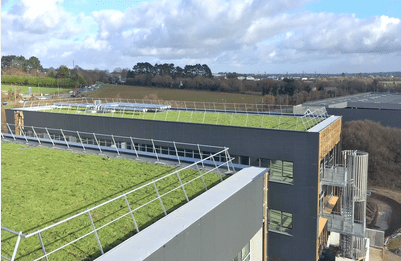 Vandienį sulaikantis žaliasis stogas